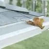 Let The Professionals Install Your Gutter Guards